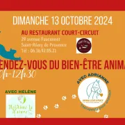 Rendez-vous du bien-être animal