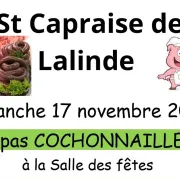 Repas cochonnailles