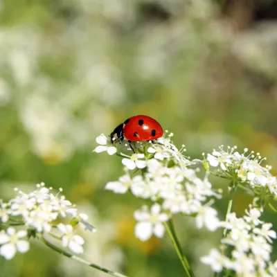 Salon Vivre Nature Toulouse 2025