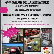 Salon De La Miniature