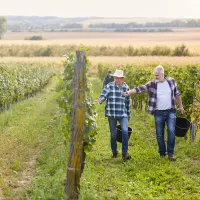 L’essence même du vin : des raisins sélectionnés avec passion par les vignerons présents au salon de Strasbourg. DR