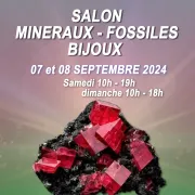 Salon desminéraux, fossiles, bijoux de créateur