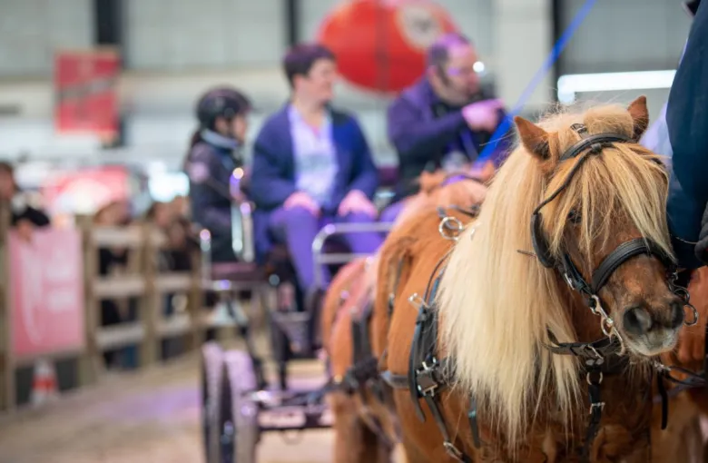 Salon du cheval de Bordeaux 