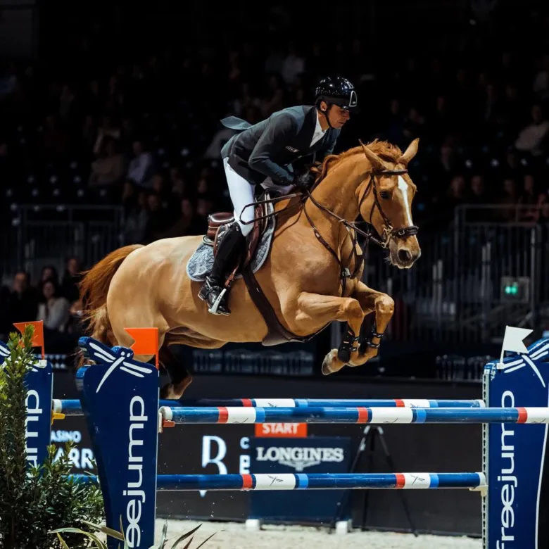 Salon du cheval de Bordeaux 