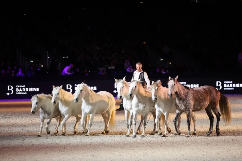 Salon du cheval de Bordeaux 