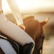 Le Salon du Cheval à Paris 2024