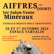 Salon Vente Minéraux – 1ère édition à Aiffres