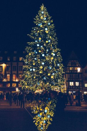 Le Grand Sapin de Noël de Strasbourg - Marché de Noël 2020 sur la Place