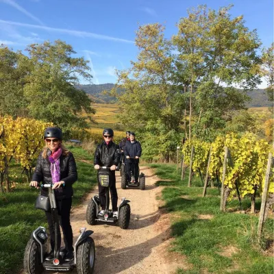 Oenotourismus - Segway dans le vignoble