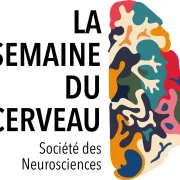 Semaine du Cerveau 2025 - Limoges