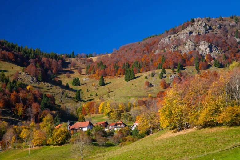 Un paysage typique de la région 