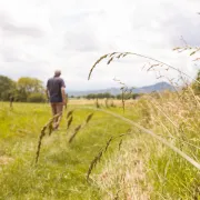 Semaines D’information Sur La Santé Mentale ( Sism )