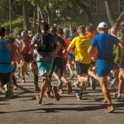 Semi-marathon de la pomme