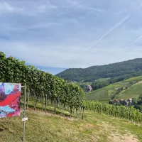 Le sentier artistique Weinsüden &copy; Tourist-Info Sasbachwalden