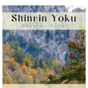 Shinrin Yoku (bain De Forêt)