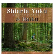 Shinrin Yoku (bain De Forêt)