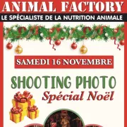 Shooting Photo Spécial Noël