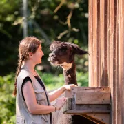 Soigneur d'un jour au Parc'Ours