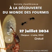 Soirée conférence : A la découverte des fourmis