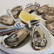 Soirée Fruits de mer à Saint-Michel l'Ecluse et Léparon