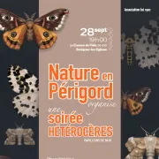 Soirée hétérocères sur le Causse