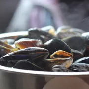 Soirée moules frites à volonté