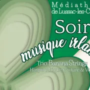 Soirée musicale irlandaise