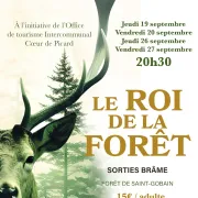 Soirées Brame du Cerf