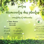 Sortie à la découverte des plantes sauvages comestibles et médicinales