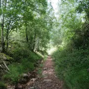 Sortie accompagnée du le Plan Local de Randonnée du Pays Basque : circuit Jara