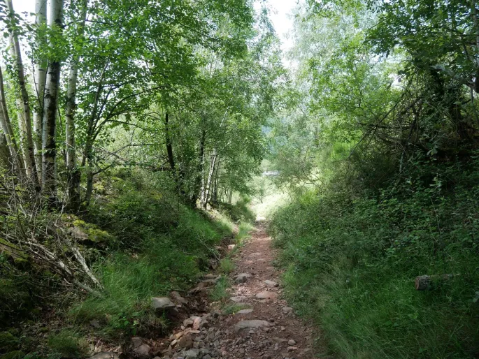 Sortie accompagnée du le Plan Local de Randonnée du Pays Basque : circuit Jara