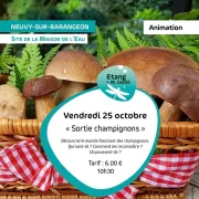 Sortie champignons