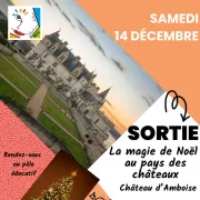 Sortie Château d'Amboise