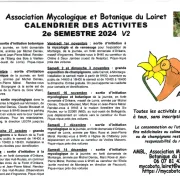 Sortie d’initiation mycologique