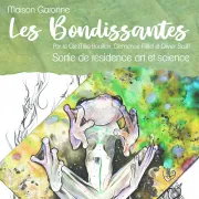 Sortie De Résidence Art Et Science : Les Bondissantes