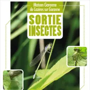Sortie Insectes