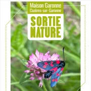 Sortie Nature