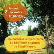 Sortie nature