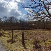 Sortie nature à Cessières : Une balade de fin d’été à Cessières