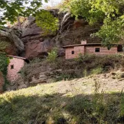 Sortie Nature - à La Découverte De La Biodiversité De Dabo