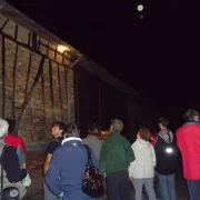 Sortie nature à Mâchecourt : Vol de nuit dans le marais