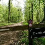 Sortie nature à Vauclair : La découverte du martelage