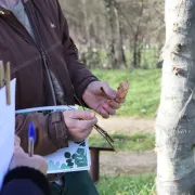 Sortie : reconnaissance des arbres en hiver à Boursay