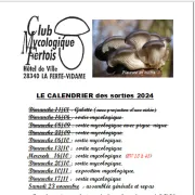 Sorties mycologique