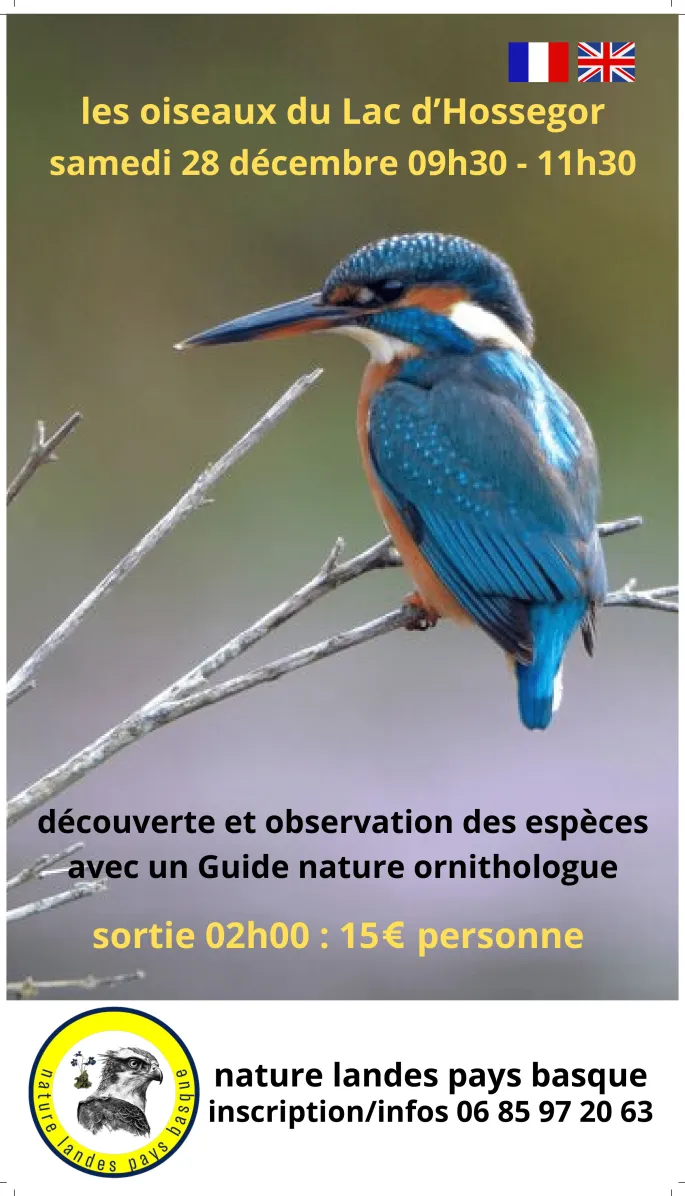 * Sorties Oiseaux * Lac Hossegor *