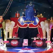 Spectacle de magie au Musée du Cirque et de l'Illusion