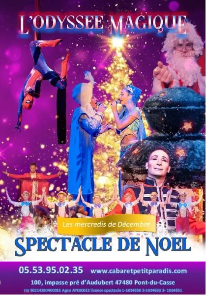 Spectacle de Noël