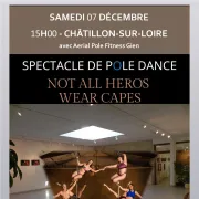 Spectacle de Pole Dance