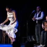 Spectacle - Flamenco, L\'Envol Du Tacon