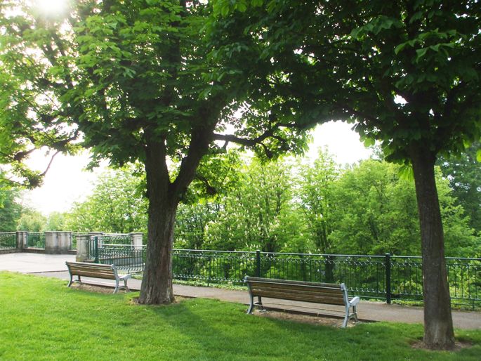  Jardin  square  ou parc du R servoir  Mulhouse